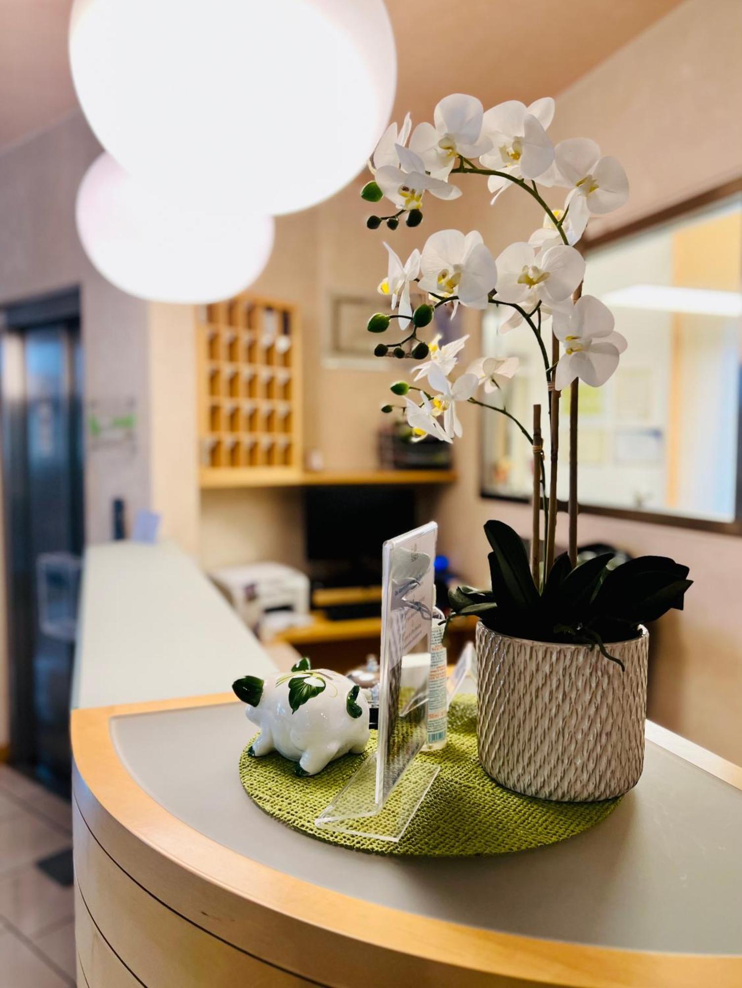Eco Hotel Ariston Μαλτσεζίνε Εξωτερικό φωτογραφία